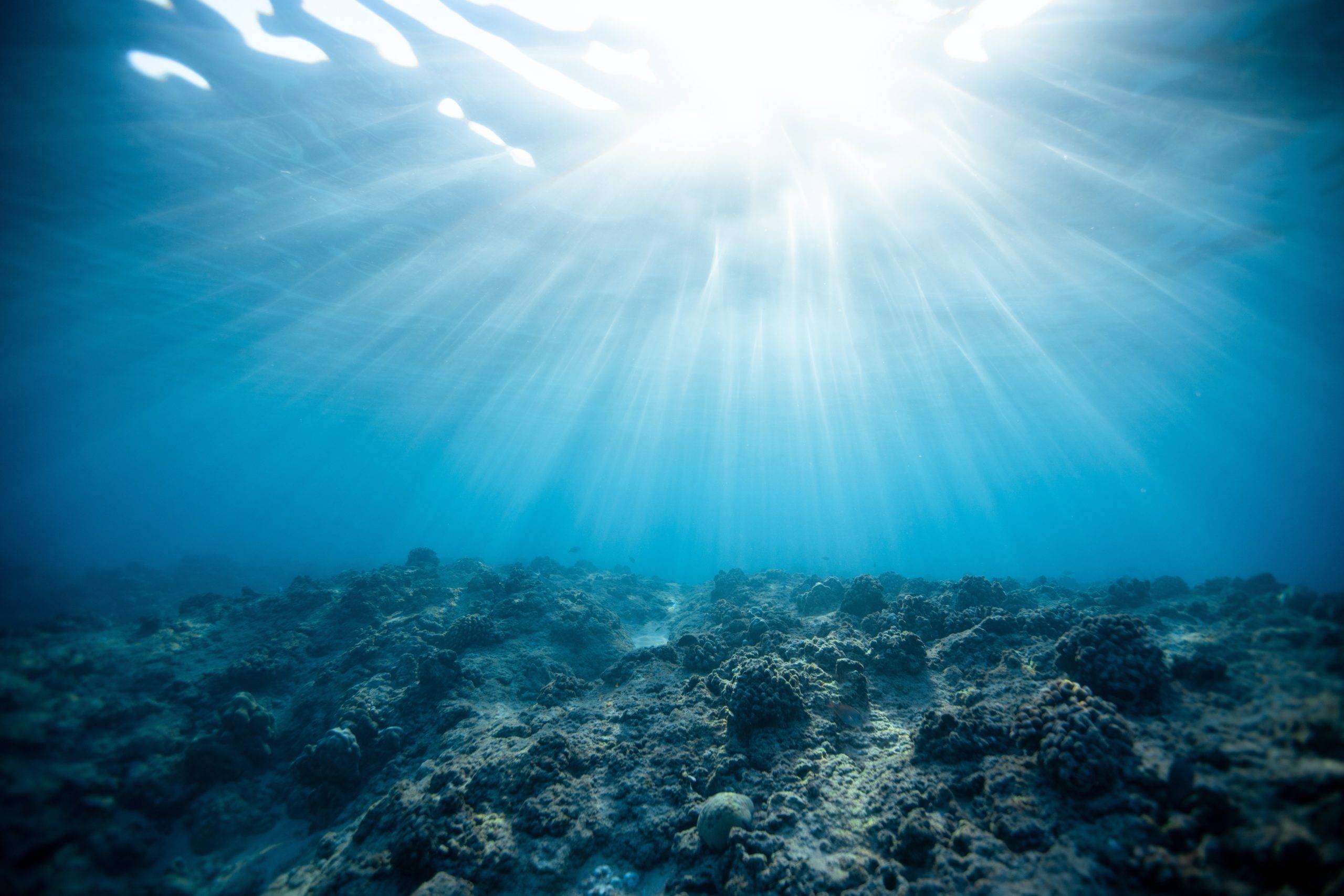 A Década do Oceano foi proposta pela ONU para conscientizar a população sobre a importância dos oceanos e para mobilizar atores em ações que favoreçam a saúde e a sustentabilidade dos mares/Foto: Jeremy Bishop / Pexels