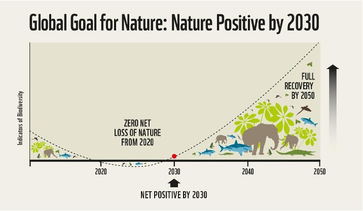 COP15 de Biodiversidade, que se inicia nesta quarta, é oportunidade para começar uma relação positiva com a natureza