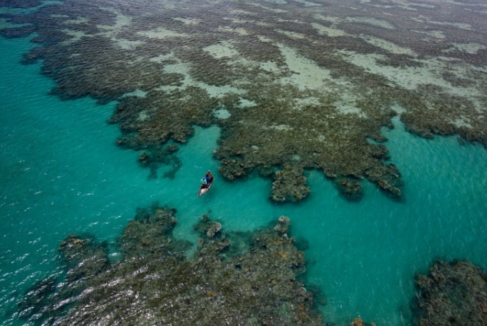 Acordo para proteger biodiversidade está ameaçado”, diz Athayde, Brasil