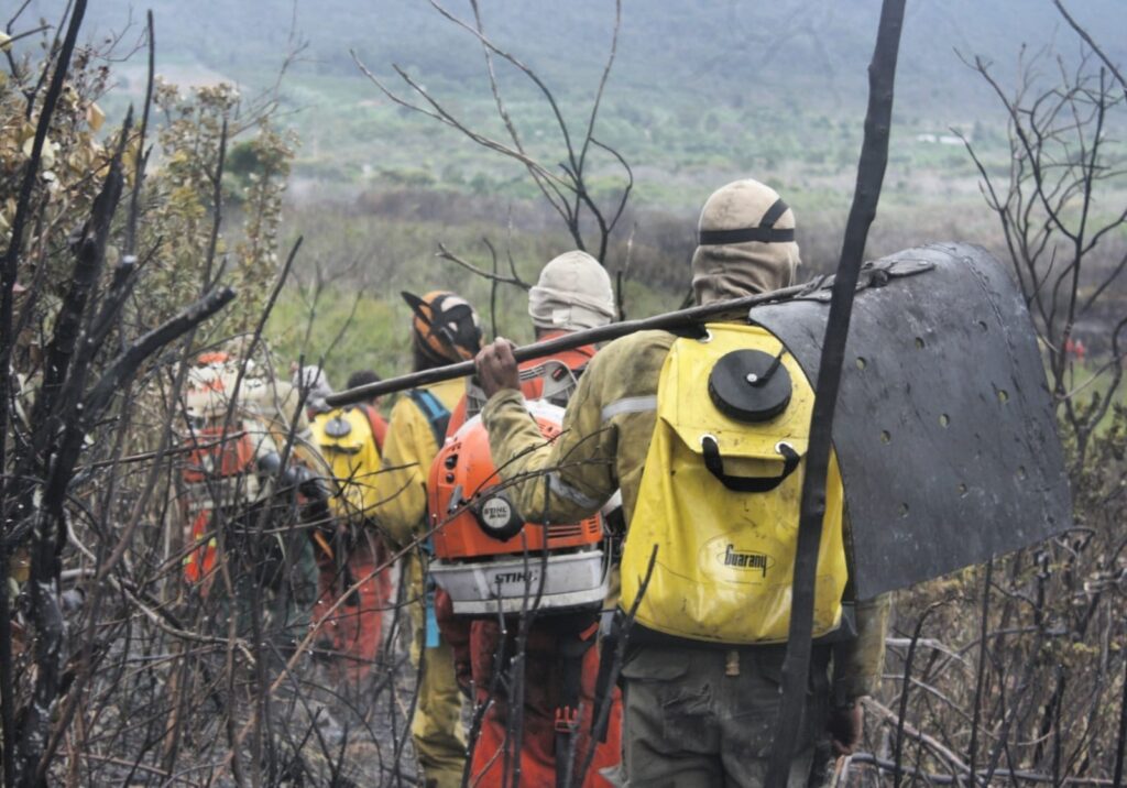 Brigadas voluntárias Chapada