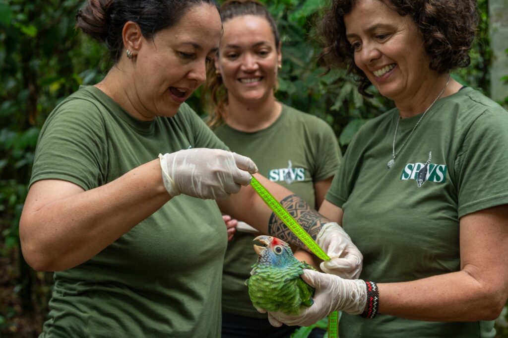 Os dados coletados ao longo de três anos serão importantes para a instituição definir ações de proteção ambiental nessas áreas