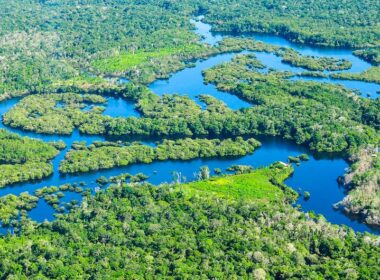 Avanço lento das metas de desenvolvimento no país tem raiz na gestão da pandemia de Covid-19 e na falta de priorização as políticas sociais e climáticas