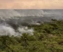 Estudo sugere medidas para evitar agravamento da crise no Pantanal