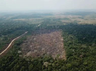 Op VERDE BRASIL/17