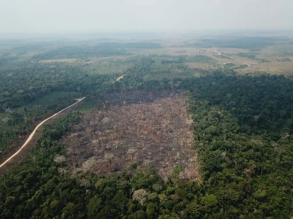 Op VERDE BRASIL/17