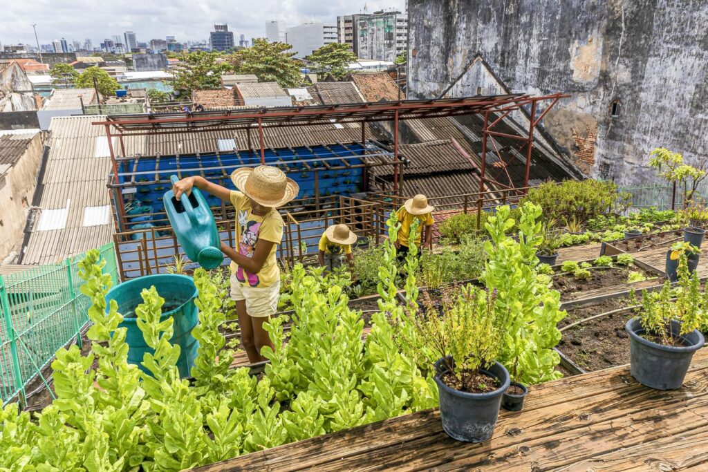 O jardim no telhado que alimenta a comunidade: Fotografia brasileira vencedora de concurso mundial da Universidade das Nações Unidas (UNU) captura iniciativa de jovens de Recife de transformar o telhado de uma ONG em uma horta que produz alimentos orgânicos para a comunidade e motiva crianças, pessoas adultas e idosas a apoiar a transformação urbana do centro da capital pernambucana. Foto: © Hans von Manteuffel (@hans_fotos)