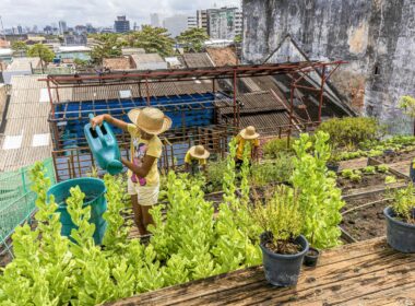 O jardim no telhado que alimenta a comunidade: Fotografia brasileira vencedora de concurso mundial da Universidade das Nações Unidas (UNU) captura iniciativa de jovens de Recife de transformar o telhado de uma ONG em uma horta que produz alimentos orgânicos para a comunidade e motiva crianças, pessoas adultas e idosas a apoiar a transformação urbana do centro da capital pernambucana. Foto: © Hans von Manteuffel (@hans_fotos)