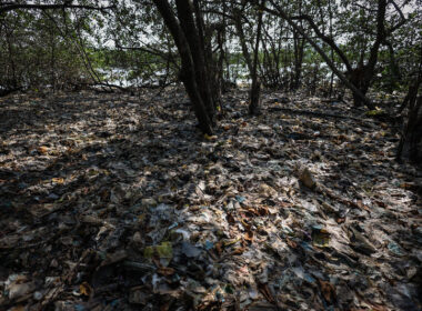 Mar de poluição plástica na Praia do Bananal na Ilha do Governador; no Rio de Janeiro. Crédito: Aline Massuca / WWF-Brasil