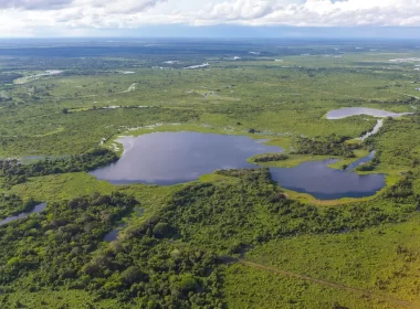 Reserva Particular do Patrimônio Natural – RPPN Sesc Pantanal. Esta é a maior reserva privada do Brasil