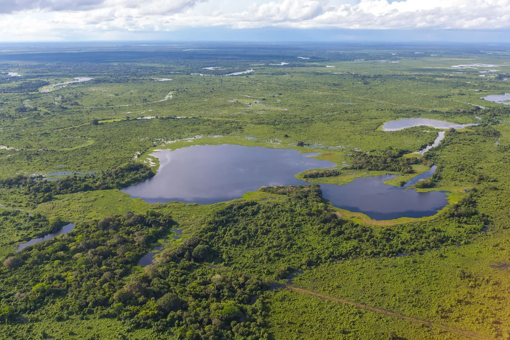 Reserva Particular do Patrimônio Natural – RPPN Sesc Pantanal. Esta é a maior reserva privada do Brasil