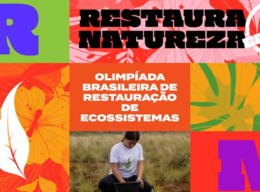 Estão abertas as inscrições para a 3ª Restaura Natureza, a Olimpíada Brasileira de Restauração de Ecossistemas do WWF-Brasil