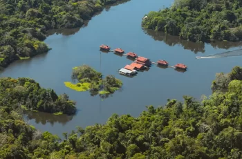 O objetivo geral da campanha é promover, em espírito quaresmal e em tempos de urgente crise socioambiental, um processo de conversão integral, ouvindo o grito dos pobres e da Terra