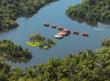 O objetivo geral da campanha é promover, em espírito quaresmal e em tempos de urgente crise socioambiental, um processo de conversão integral, ouvindo o grito dos pobres e da Terra